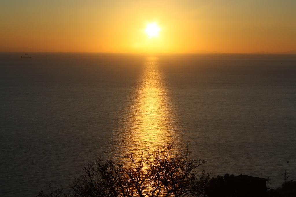 Le Terrazze Di Martina Villa Nicotera Dış mekan fotoğraf